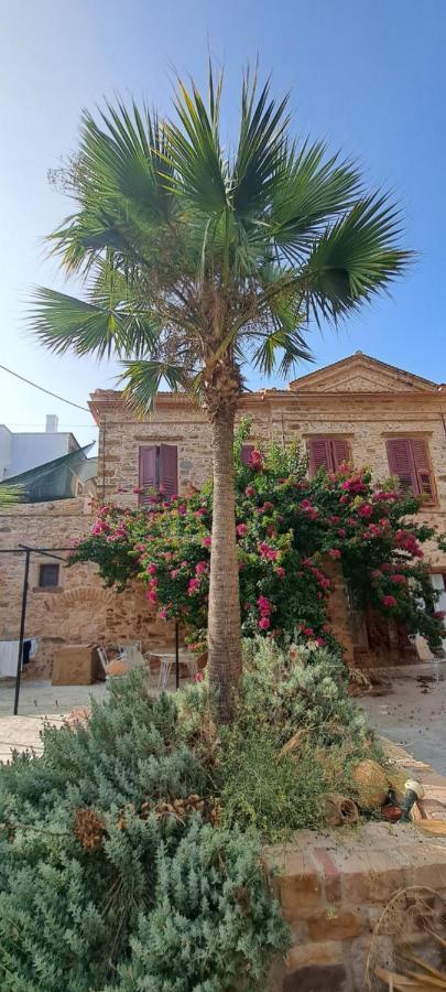 Garden Of Chios *